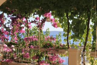 Apartments by the sea Podgora, Makarska - 6596 - Podgora - 4