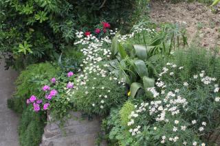 Apartments by the sea Podgora, Makarska - 6670 - 2