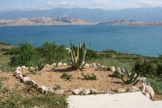 Apartments with a parking space Bosana, Pag - 6460 - Pag - 4