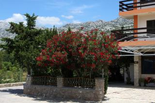 Apartments and rooms by the sea Starigrad, Paklenica - 6591 - 4