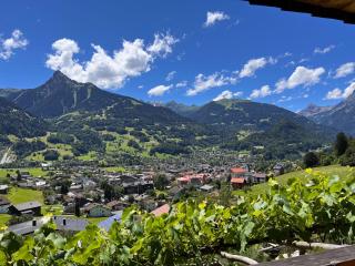 Chalet Christl Panorama Appartements - Schruns-Tschagguns - 9