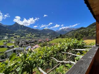 Chalet Christl Panorama Appartements - Schruns-Tschagguns - 8
