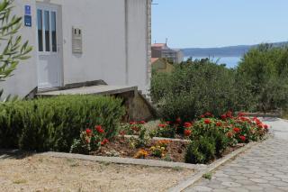 Apartments with a parking space Baska Voda, Makarska - 6762 - Baška Voda - 4