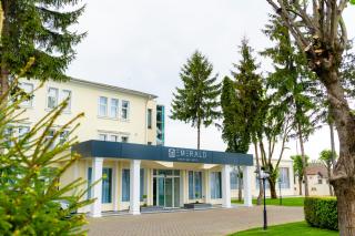 Emerald Boutique Hotel - Târgu-Mureş - 0