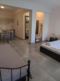 PHOENIX apartment near the airport - Markopoulo - 3