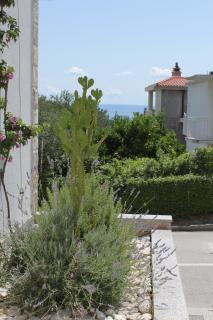 Apartments with a parking space Baska Voda, Makarska - 6912 - 4
