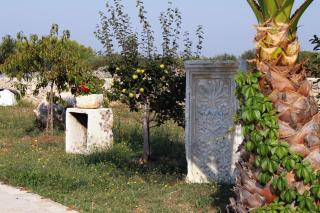 Rooms with a parking space Gornje selo, Solta - 5170 - Grohote - 3