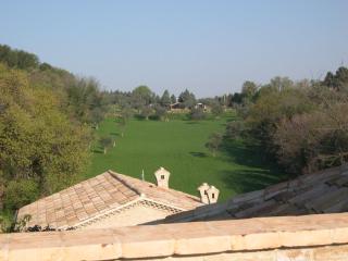 Castello Montegiove - 9