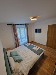 Nina Apartman 2 - Sokobanja - 4