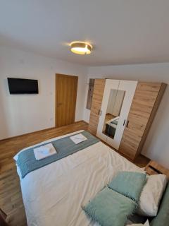 Nina Apartman 2 - Sokobanja - 3