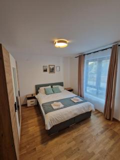 Nina Apartman 2 - Sokobanja - 5