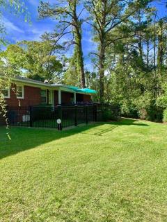 The Best Family & Friends Hangout & Pet Friendly!! - Wilmington - 1