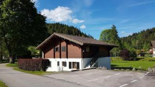 Appartement "L'HORIZON" meublé dans chalet, proche lac au calme - Gérardmer - 0