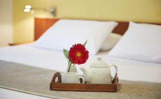 Gran Hotel Paysandú - Paysandú - 7