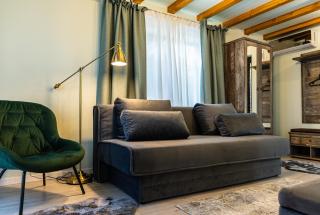 Vila Rustic INN Bucegi - Pietroşiţa - 1