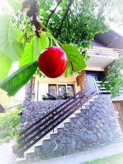 Grandma's apartment - Velika - 0