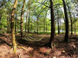 Romantic Pocono house - stream, lake, beach, pool, firepit - 5