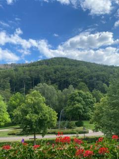 Apartment am Park - Bad Lauterberg - 9