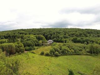 Totale Ruhe im Wald - Pünderich - 5