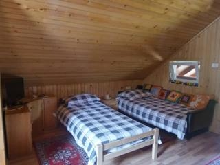 Podklanci-house in the forest - 6