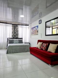 Apartaestudio ROMA 402 Edificio Europa Ibagué - Ibagué - 6