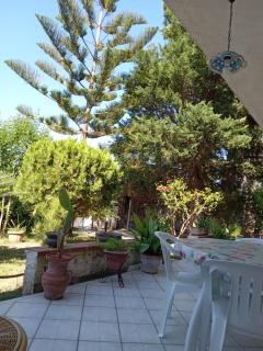 Villa Gelsomino - Mongiove - 7