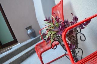 La Salvia e Il Lampone - 4