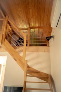 Les Cottages de Ripaille - Thonon-les-Bains - 6