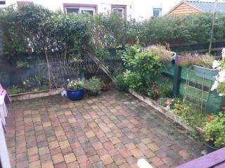 Stable View, Clara Meadows Dunfanghy - 8