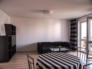 SDH 2 Radzymin comfortable apartment near Warsaw - Radzymin - 8