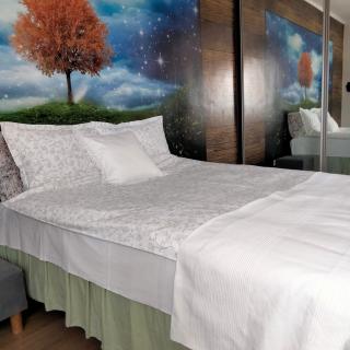 Cicha kawalerka w samym centrum - 0