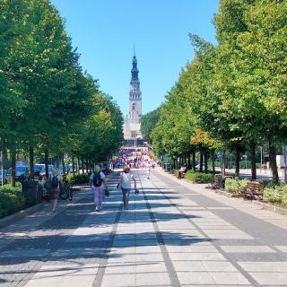 Cicha kawalerka w samym centrum - Częstochowa - 1