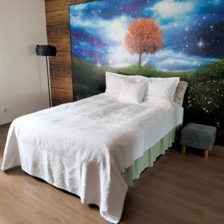 Cicha kawalerka w samym centrum - Częstochowa - 5