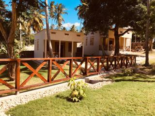 Dive Planet Mafia Island - 6