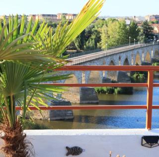 A los Ojos del Río Duero - Zamora - 6