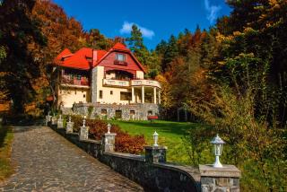 Pensiunea Boema - Sinaia - 0
