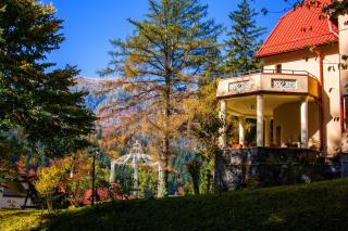 Pensiunea Boema - Sinaia - 7
