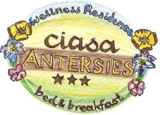 Family and Wellness Residence Ciasa Antersies - 5