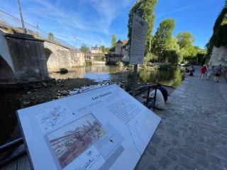 LES PIEDS DANS L’EAU - MORET CENTRE - 2