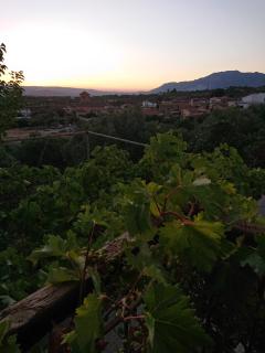 Un balcón a Sierra Nevada - 8