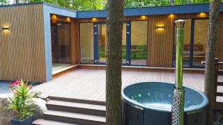 Forest relax - 1