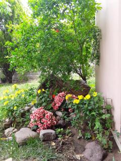 Sweet Dreams Home - 4