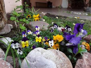 Sweet Dreams Home - 2