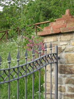Country Hill B&B - 1
