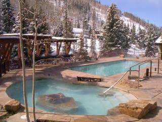 1 Bedroom In Lionshead Village - Antlers At Vail - 8