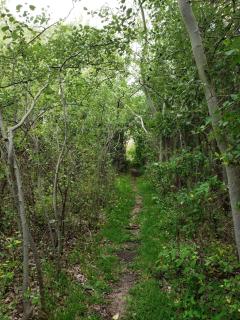 Lipi House Hostel - 1