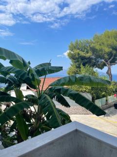 Mohito beach apartment 4 - Sarandë - 0