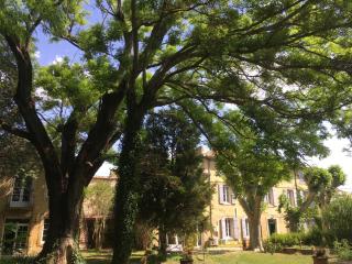 Le mas Rocamour - Roquemaure - 3