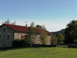 Gîte familial avec équipement bébé, terrasse et jardin clos à Roche-en-Régnier - FR-1-582-192 - Roche-en-Régnier - 0