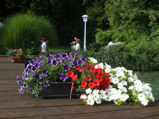 Haus Angelika - Ferienwohnung Wörthersee - 5